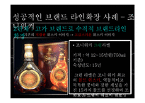 브랜드 확장전략 사례 연구-13