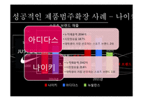 브랜드 확장전략 사례 연구-17