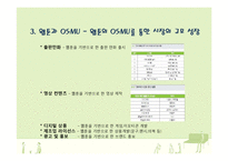 [경제학] 웹툰시장의 OSMU-13