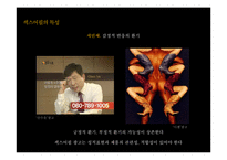 섹스어필 TV광고 사례 연구-12
