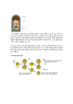 원자력 발전소 가동의 타당성 고찰-3