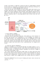 아동빈곤가구 사각지대의 복지 실천방안-5