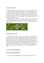 미국의 프로야구 역사와 문화-4