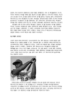 미국의 프로야구 역사와 문화-5
