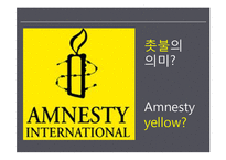 이석기의원 사태로 바라본 엠네스티의 문제점 고찰-6