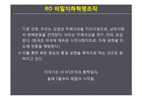 이석기의원 사태로 바라본 엠네스티의 문제점 고찰-16