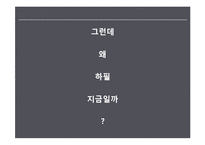 이석기의원 사태로 바라본 엠네스티의 문제점 고찰-19