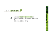 화장품 쇼호스트의 언어적 비언어적커뮤니케이션 분석-13