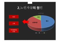 노인자살 문제와 정책 및 대안 연구-11