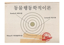 [발달심리] 동물행동학적 이론-2
