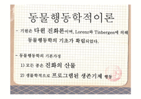 [발달심리] 동물행동학적 이론-3