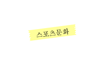 세계화와 문화 레포트-17