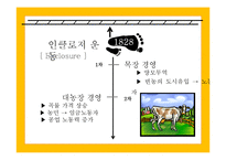 프랑스혁명과 19세기 전반의 영국 사회-12
