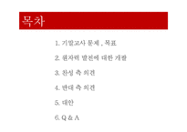 원자력 발전소 가동의 타당성 고찰-2
