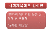 원자력 발전소 가동의 타당성 고찰-15
