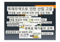 세계화와 환경 레포트-6