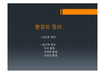 세계화와 환경 레포트-7