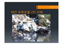 세계화와 환경 레포트-11