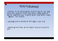태국의 트렌스젠더와 까터이 문화-6
