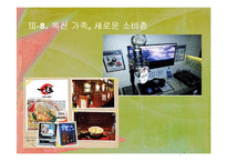 독신가정의 배경과 특징 연구-19