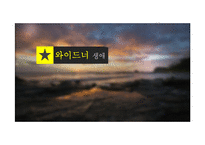 와이드너 생애와 발전행정에 대하여-3