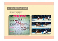 정명의 관점에서 바라본 대학의 축제문화-5