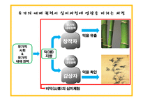 유가적 예술세계-유가적 심미구조와 초월-13