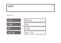 예능, 오락 프로그램의 잘못된 언어 사용 사례와 개선방안-20