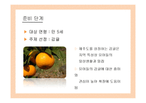 프로젝트 접근법 교육과정과 사례 연구-14