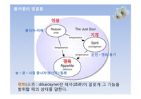 플라톤의 교육철학-11
