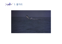 한국문학과 외국문학의 보편성과 특수성에 관한 교수 학습 내용 구성-어니스트 헤밍웨이의 `노인과 바다`를 중심으로-6