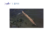 한국문학과 외국문학의 보편성과 특수성에 관한 교수 학습 내용 구성-어니스트 헤밍웨이의 `노인과 바다`를 중심으로-10