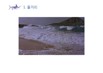 한국문학과 외국문학의 보편성과 특수성에 관한 교수 학습 내용 구성-어니스트 헤밍웨이의 `노인과 바다`를 중심으로-11