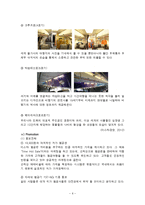 이스타 항공 장단점과 개선방안-8