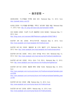 이스타 항공 장단점과 개선방안-13