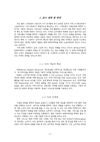 롯데월드의 SNS마케팅 조사-3