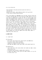 미샤 중국시장 진출 전략-11