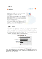 싸이월드 마케팅 조사 및 전략 제안-2