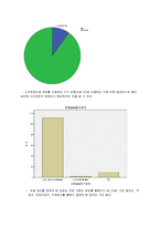 싸이월드 마케팅 조사 및 전략 제안-5