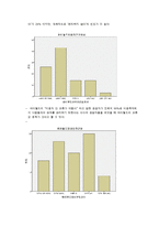 싸이월드 마케팅 조사 및 전략 제안-9