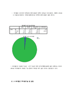 싸이월드 마케팅 조사 및 전략 제안-13