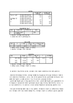 싸이월드 마케팅 조사 및 전략 제안-19