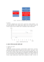댕기머리 브랜드 전략-7