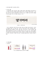 댕기머리 브랜드 전략-8
