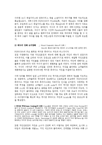 POPEYES 소셜 네트워크 마케팅 전략-12