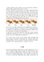 POPEYES 소셜 네트워크 마케팅 전략-13