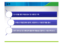 아이레보 마케팅 전략 분석-18
