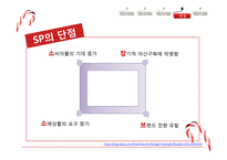 세일즈 프로모션의 장단점과 사례 연구및 행사 기획-8