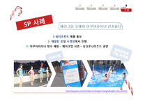 세일즈 프로모션의 장단점과 사례 연구및 행사 기획-9