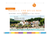 에버랜드 서비스 마케팅 사례 분석-19